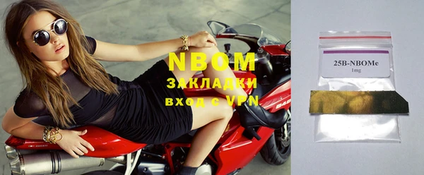 ПСИЛОЦИБИНОВЫЕ ГРИБЫ Инта