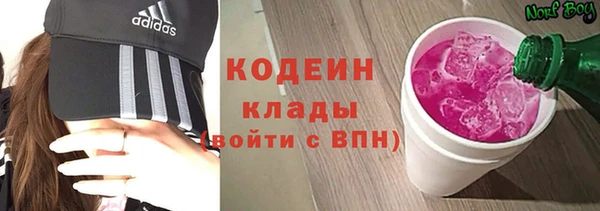ПСИЛОЦИБИНОВЫЕ ГРИБЫ Инта