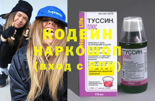 ПСИЛОЦИБИНОВЫЕ ГРИБЫ Инта