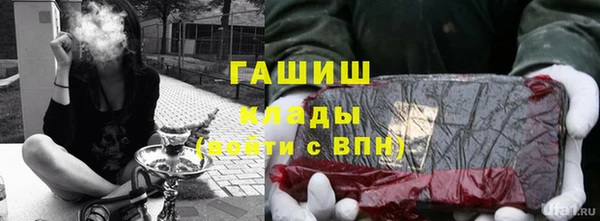 ПСИЛОЦИБИНОВЫЕ ГРИБЫ Инта