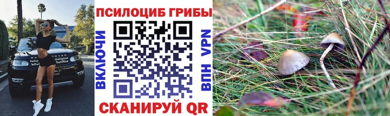 Псилоцибиновые грибы MAGIC MUSHROOMS  Купить  Волосово 